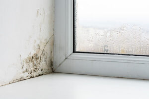 The cost of not heating your home could result in damp issues